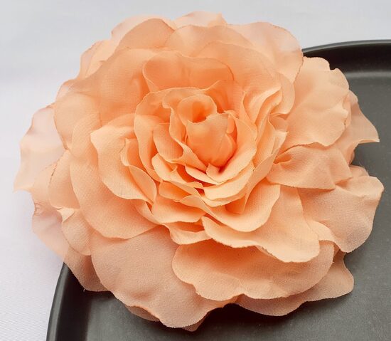 Liela sakta Tējas roze.