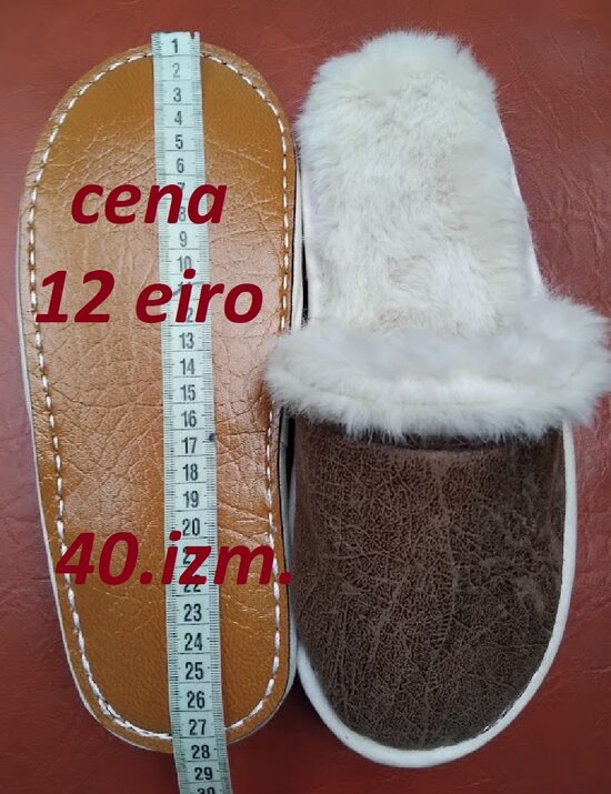 Ziemas variants 40. izm. 