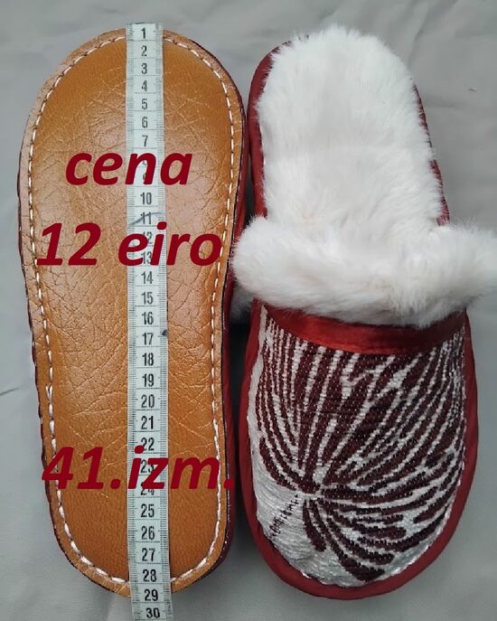 Ziemas variants 41.izm.