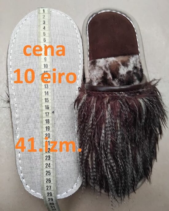 Ziemas variants 41. izm. 