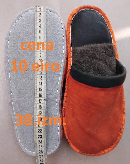 Ziemas variants 38.izm.